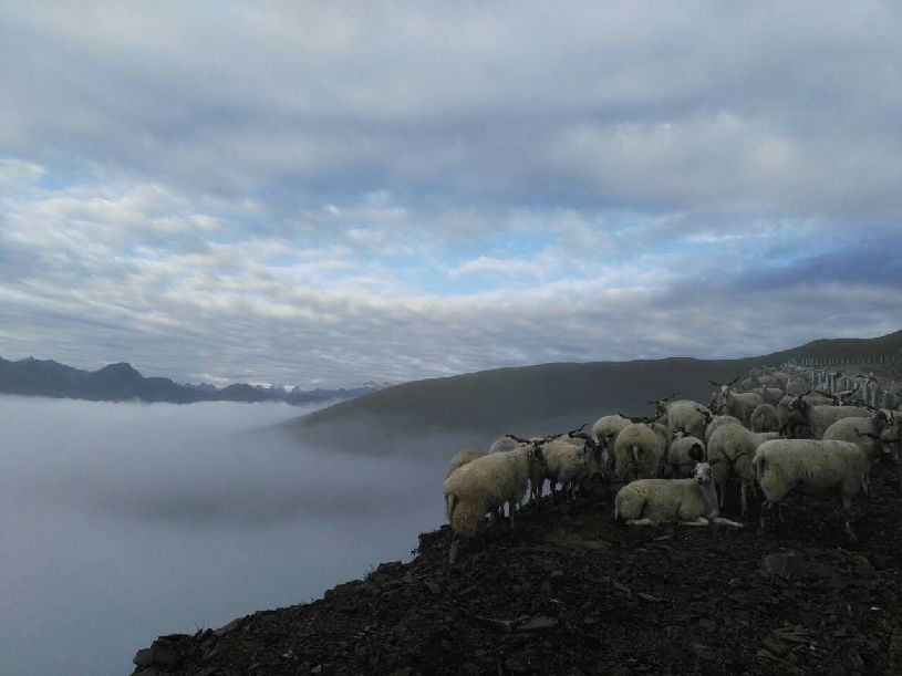 大美中国】达瓦更扎看云海冰球突破豪华版app【(图4)