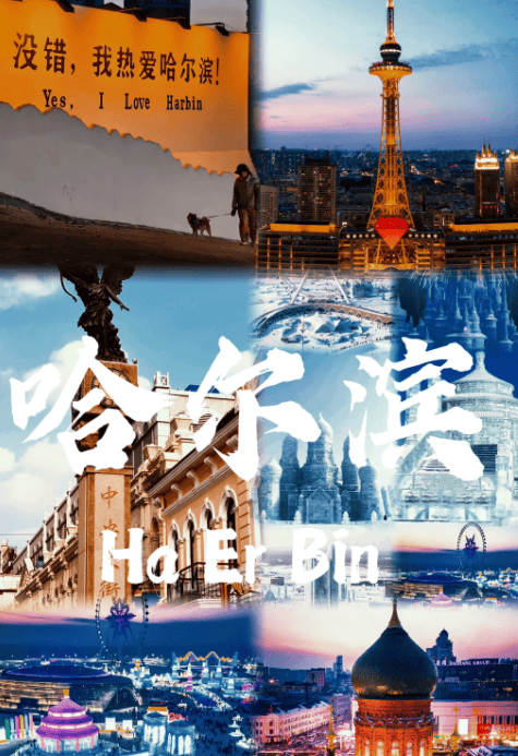 规旅行社排行榜 口碑前十权威揭晓冰球突破豪华版2025哈尔滨正(图3)